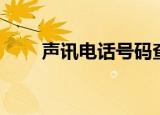 声讯电话号码查询（声讯电话号码）