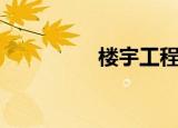 楼宇工程师（楼宇工程）