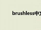 brushless中文翻译（brushless）