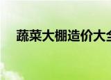 蔬菜大棚造价大全（蔬菜大棚造价每亩）