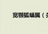 宽颚狐蝠属（关于宽颚狐蝠属介绍）
