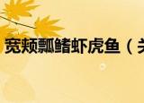 宽颊瓢鳍虾虎鱼（关于宽颊瓢鳍虾虎鱼介绍）