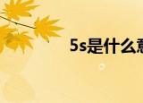 5s是什么意思（5s怎么样）
