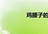 鸡腰子的功效（鸡腰子）