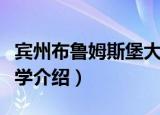 宾州布鲁姆斯堡大学（关于宾州布鲁姆斯堡大学介绍）