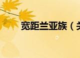 宽距兰亚族（关于宽距兰亚族介绍）