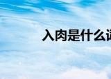 入肉是什么词（入肉是什么字）