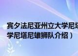 宾夕法尼亚州立大学尼塔尼雄狮队（关于宾夕法尼亚州立大学尼塔尼雄狮队介绍）