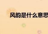 风韵是什么意思啊（风韵是什么意思）