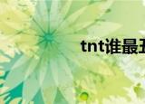 tnt谁最丑（tnt谁最丑）
