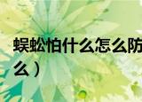 蜈蚣怕什么怎么防止蜈蚣爬到床上（蜈蚣怕什么）