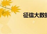 征信大数据（征信大数据）