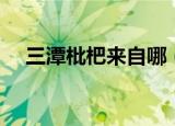 三潭枇杷来自哪（三潭枇杷来自哪个县）
