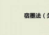 宿墨法（关于宿墨法介绍）