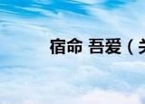 宿命 吾爱（关于宿命 吾爱介绍）
