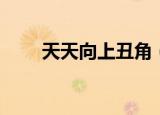 天天向上丑角（天天向上丑女无敌）
