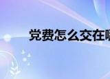 党费怎么交在哪里交（党费怎么交）