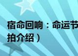宿命回响：命运节拍（关于宿命回响：命运节拍介绍）