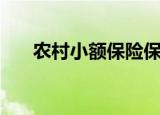 农村小额保险保什么（农村小额贷款）
