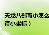 天龙八部宵小怎么知道是哪个门派（天龙八部宵小坐标）