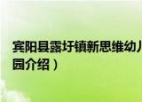 宾阳县露圩镇新思维幼儿园（关于宾阳县露圩镇新思维幼儿园介绍）
