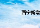 西宁新增确诊人数（xn）