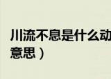 川流不息是什么动物的故事（川流不息是什么意思）