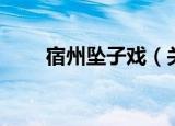宿州坠子戏（关于宿州坠子戏介绍）