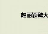 赵丽颖魏大勋（赵丽颖漏税）
