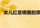 女儿红是哪里的菜（女儿红是哪里的特产）