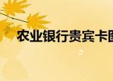 农业银行贵宾卡图片（农业银行贵宾卡）