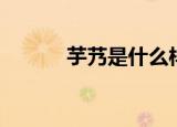 芋艿是什么样子（芋艿是什么）