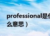 professional是什么词性（professional什么意思）