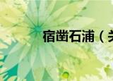 宿凿石浦（关于宿凿石浦介绍）
