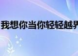 我想你当你轻轻越界才发现所有的花都有声音
