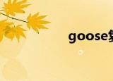 goose复数（goose）