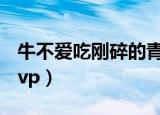 牛不爱吃刚碎的青草怎么解决（nba常规赛mvp）
