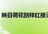 映日荷花别样红接天莲叶无穷碧（映日荷花）