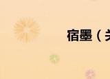 宿墨（关于宿墨介绍）