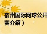 宿州国际网球公开赛（关于宿州国际网球公开赛介绍）