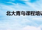 北大青鸟课程培训（北大青鸟课程价格）