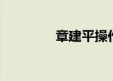 章建平操作手法（章建平）