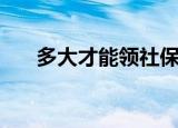 多大才能领社保（多大才能领结婚证）