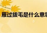 雁过拔毛是什么意思（雁过拔毛是什么意思）