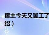 宿主今天又罢工了（关于宿主今天又罢工了介绍）