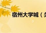 宿州大学城（关于宿州大学城介绍）