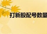 打新股配号数量啥意思（打新股技巧）