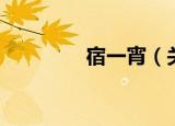 宿一宵（关于宿一宵介绍）