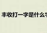 丰收打一字是什么字（丰收打一字是什么字）