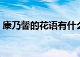 康乃馨的花语有什么（康乃馨的花语和寓意）